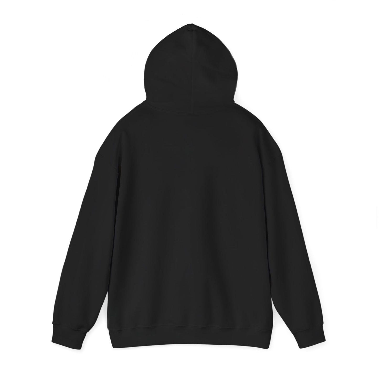 Retro Soccer Raccoon Hoodie