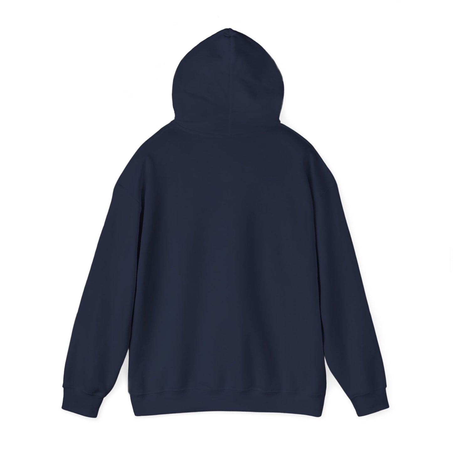 Respect the Locals vintage national parks hoodie | protect our parks, hiking